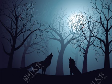 夜空中的狼