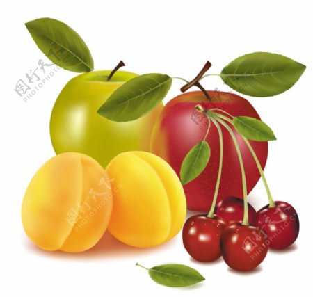 水果组图