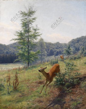 欧洲动物鹿油画