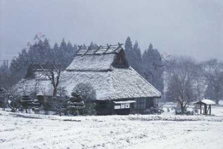 大雪覆盖的村落