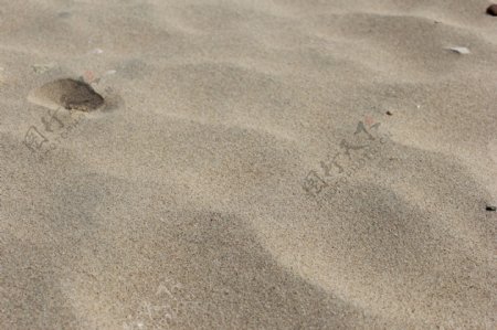 海沙沙粒沙滩