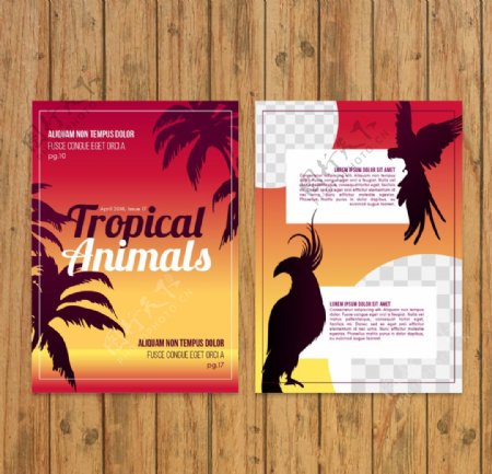 热带动物杂志模板