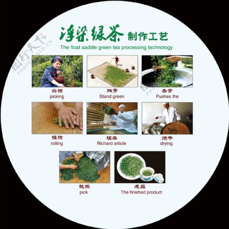 浮梁绿茶制作工艺图
