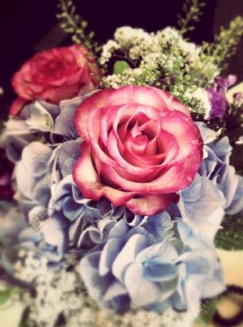 母亲节玫瑰鲜花花束