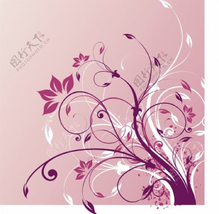 韩式花纹