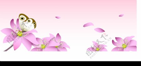 粉红色的花与蝴蝶矢量素材