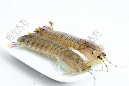 皮皮虾虾姑海鲜濑尿虾