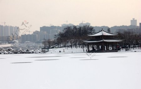 曲江池雪景