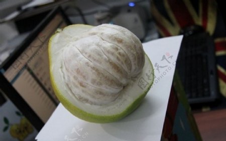 沙田柚
