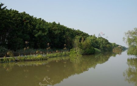 广州南沙湿地公园