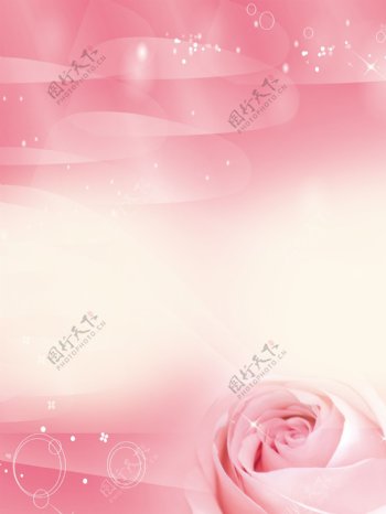 粉色花朵海报