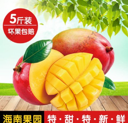 芒果水果海报