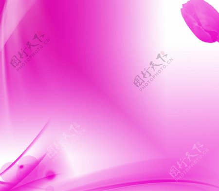 紫色背景素材1