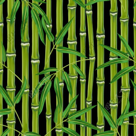 翠绿竹子背景底纹
