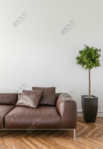 现代沙发盆景家装效果图