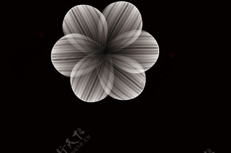 黑白基础六瓣花