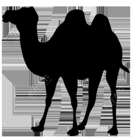 黑色双峰骆驼剪影免抠png透明图层素材