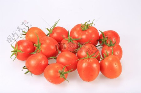 成群的番茄