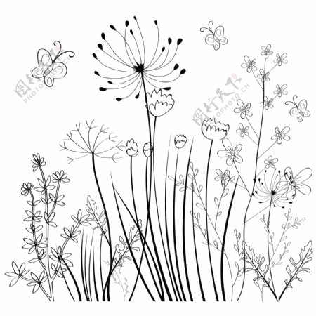 野生花卉场背景黑白素描免费矢量