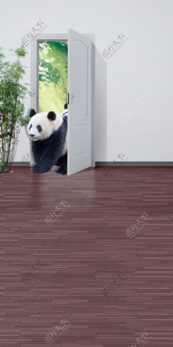 推开房门的大熊猫影楼摄影背景图片