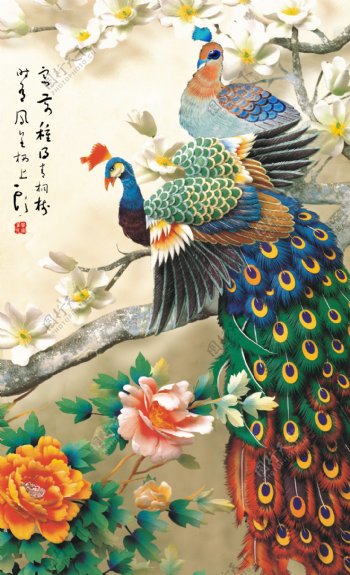 孔雀花卉装饰画