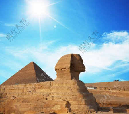 阳光下的埃及金字塔图片图片