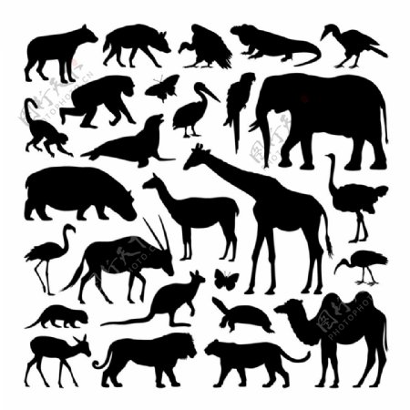 各种动物剪影平面图形
