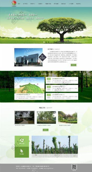 绿色网页模板