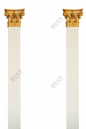 金色植物卷纹罗马柱