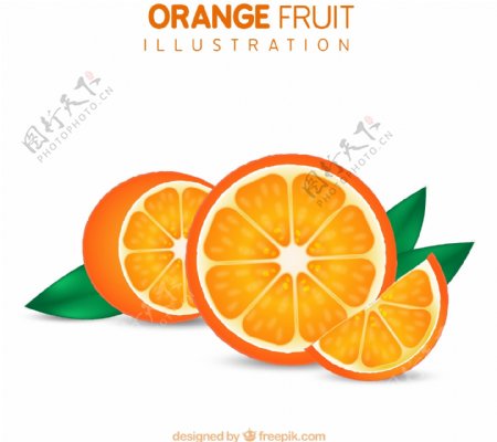 切开的新鲜橙子矢量图