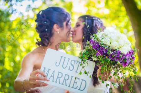 夫妇结婚婚礼同性恋同性恋同样性别