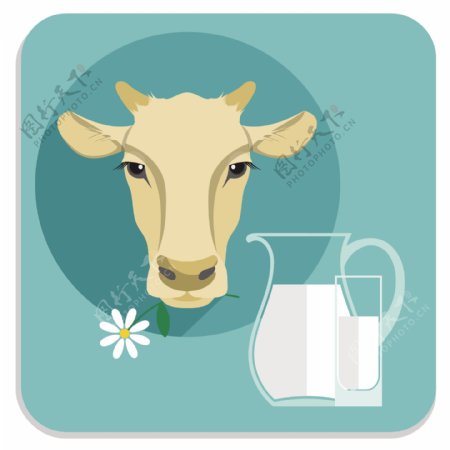 奶牛头部插图在平面设计中的说明