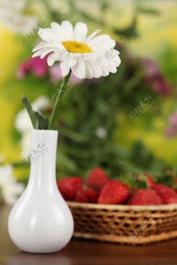 草莓与菊花花瓶图片