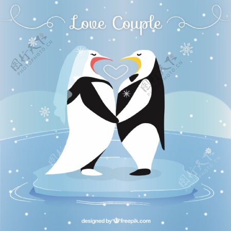 企鹅爱