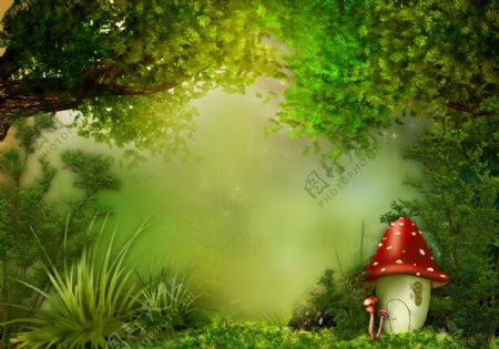 梦幻树林风景与蘑菇图片