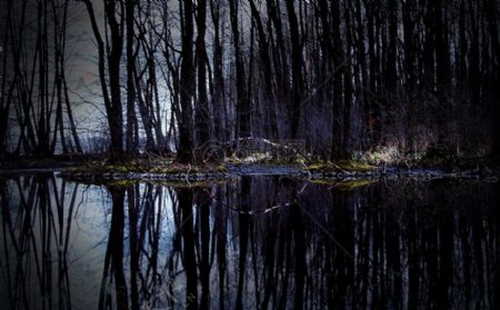 树林中的湖泊