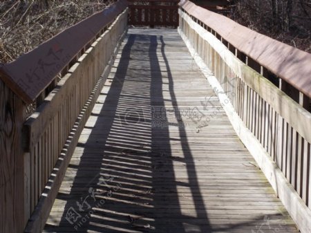 阳光照射的木桥