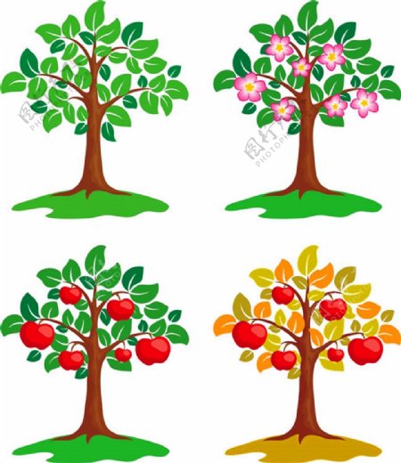 卡通四季苹果树矢量图