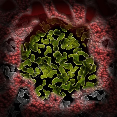 绿色密集虫状微生物图片
