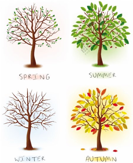 四颗树的不同变化