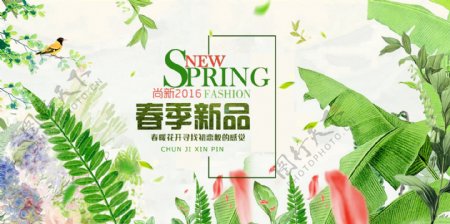 春季新品海报设计