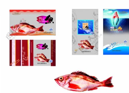 食品鱼类冷冻速冻包装设计