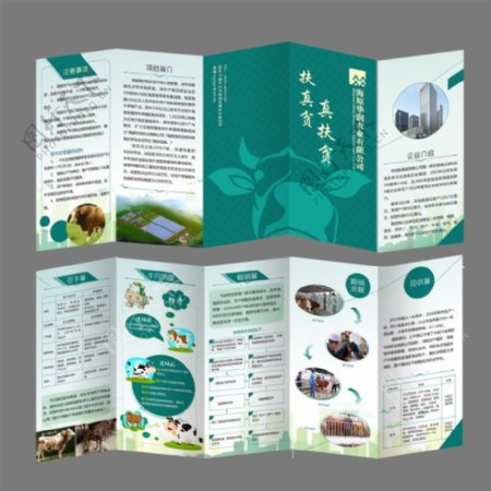 五折页农业养殖业技术宣传海报绿色宣传单