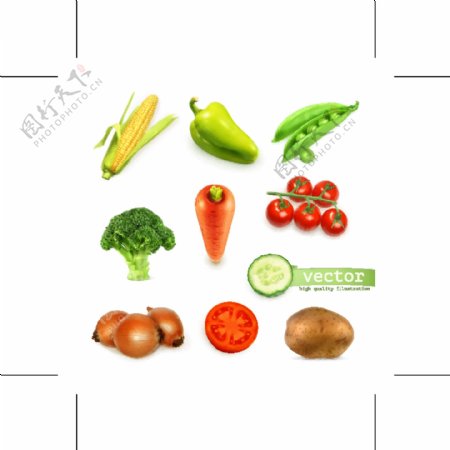 新鲜蔬菜设计矢量素材
