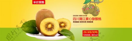 黄心猕猴桃杨桃新鲜水果预售海报