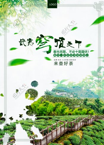 武夷穹顶之下淘宝天猫海报原生态健康茶