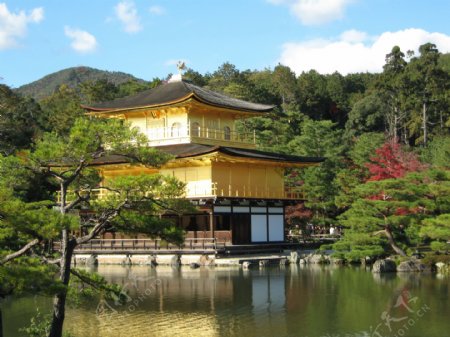 高清日本金阁寺风景图片