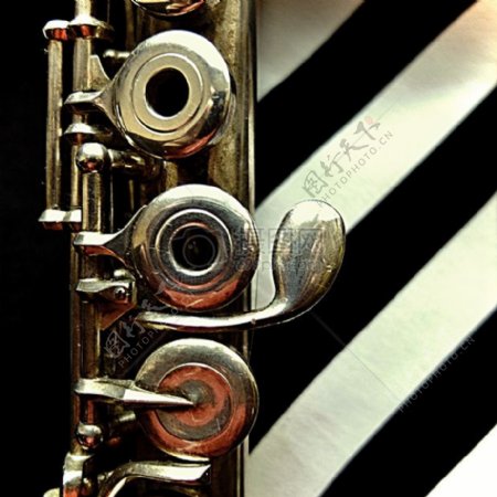 金属条纹乐器笛子主题音乐共和国obywatelGC