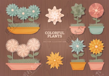 植物设计图