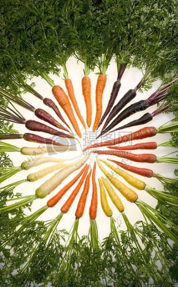 五颜六色品种的胡萝卜